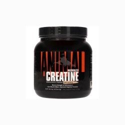 Animal Creatine Powder - czysty monohydrat kreatyny - 500g