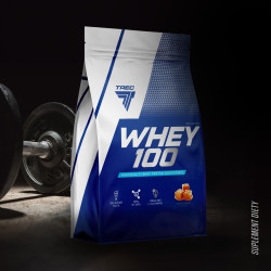 Whey 100 700g